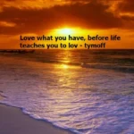Love What You Have, Before Life Teaches You to Lov – Tymoff