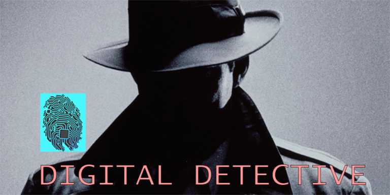Digital Detectives: Conducting Internet Investigations in the Information Age