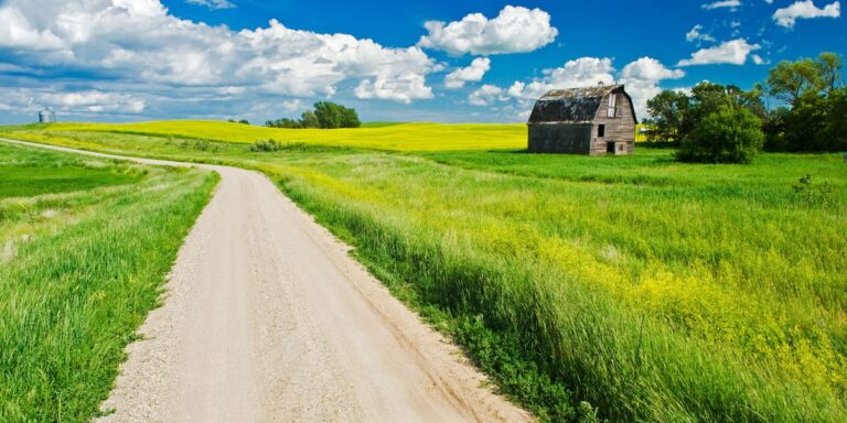 How To Move Across The Country: A Simple Guide