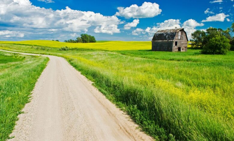 The Country
