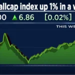BSE Smallcap