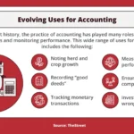 Role of Accountants