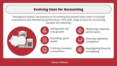 Role of Accountants